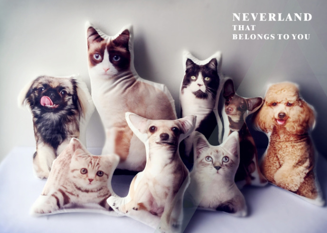 Adorable Pet Design Cushions